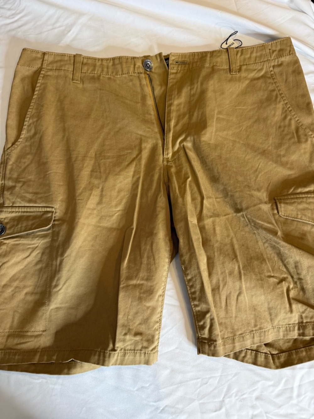 Express Men's Cargo Shorts in Khaki Brown
